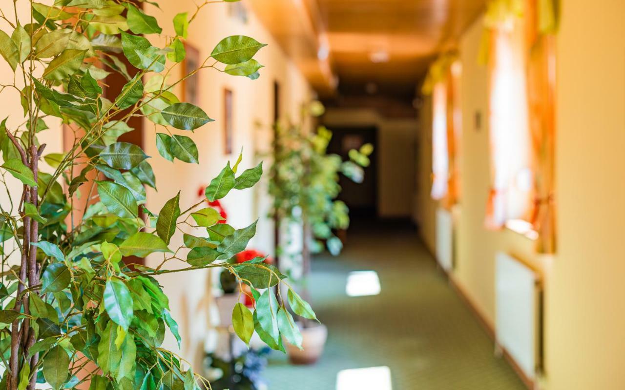 Hotel Garni Steinfeld Винер-Нойштадт Экстерьер фото